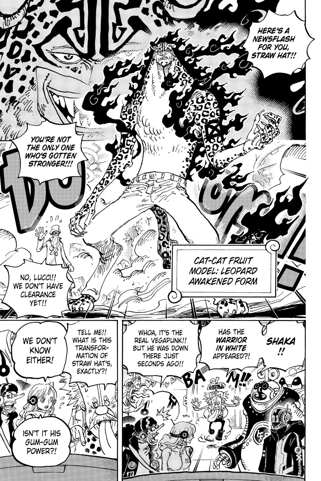 One Piece, Chapter 1069 image 07